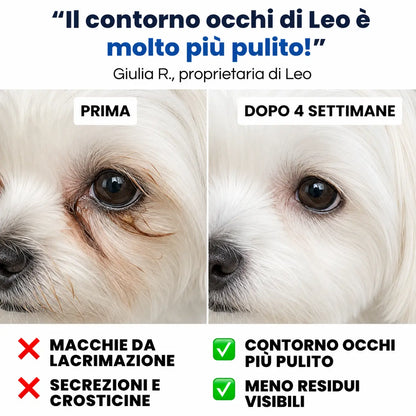 Salviette Occhi Cani e Gatti