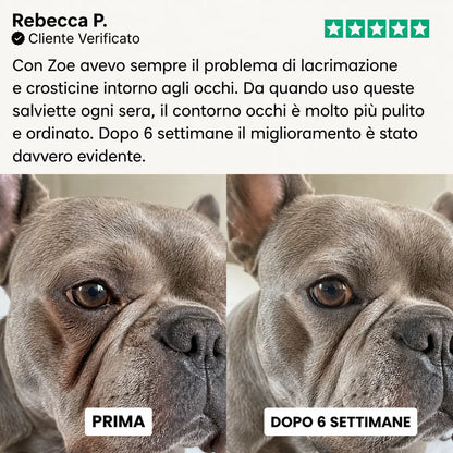 Salviette Occhi Cani e Gatti